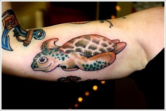 What Does a Turtle Tattoo Mean?