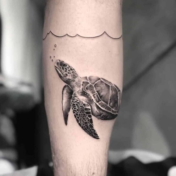 What Does a Turtle Tattoo Mean?