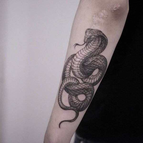 What Does a Cobra Tattoo Mean?