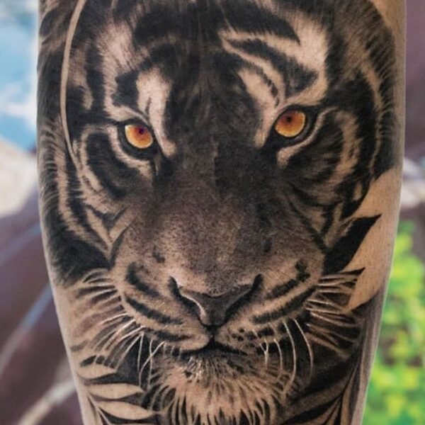 What Does a Tiger Tattoo Mean?