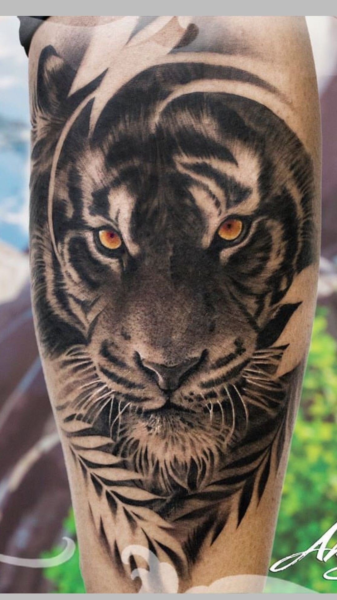 What Does a Tiger Tattoo Mean?