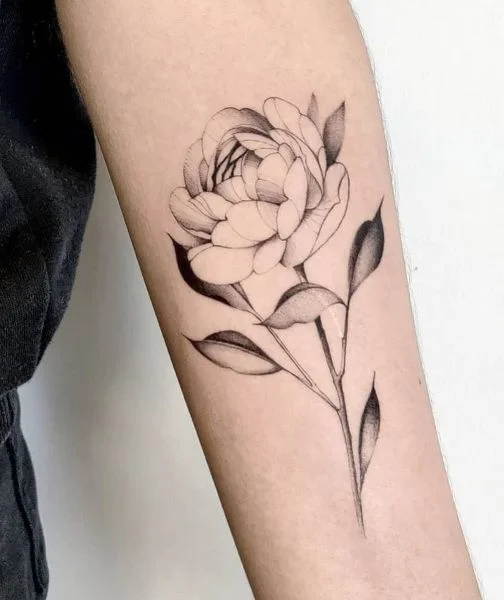 Peony Tattoo Meaning: Why This Flower Tattoo is So Popular