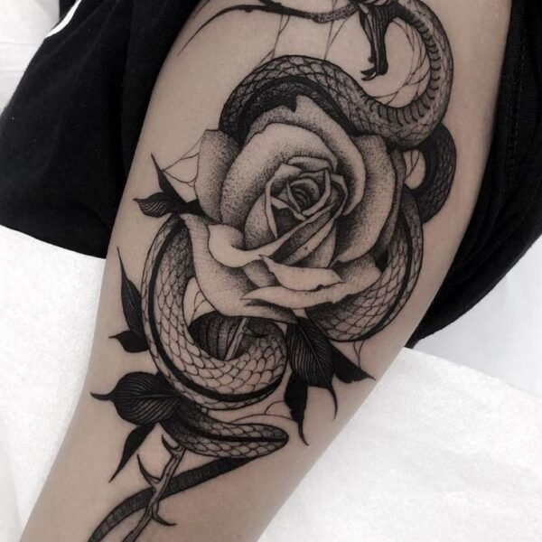 Snake and Rose Tattoo Ideas and meaning: The Beautiful Paradox of Danger and Beauty