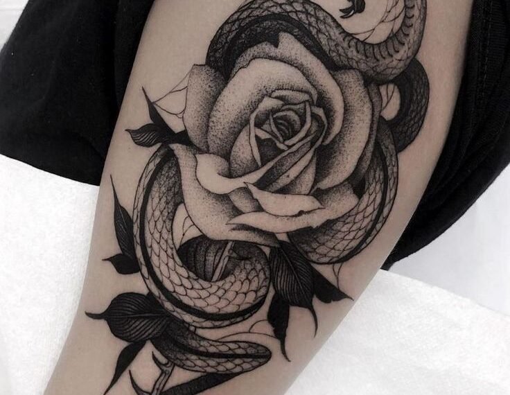 Snake and Rose Tattoo Ideas and meaning: The Beautiful Paradox of Danger and Beauty