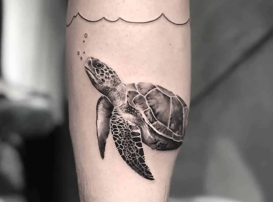 What Does a Turtle Tattoo Mean?